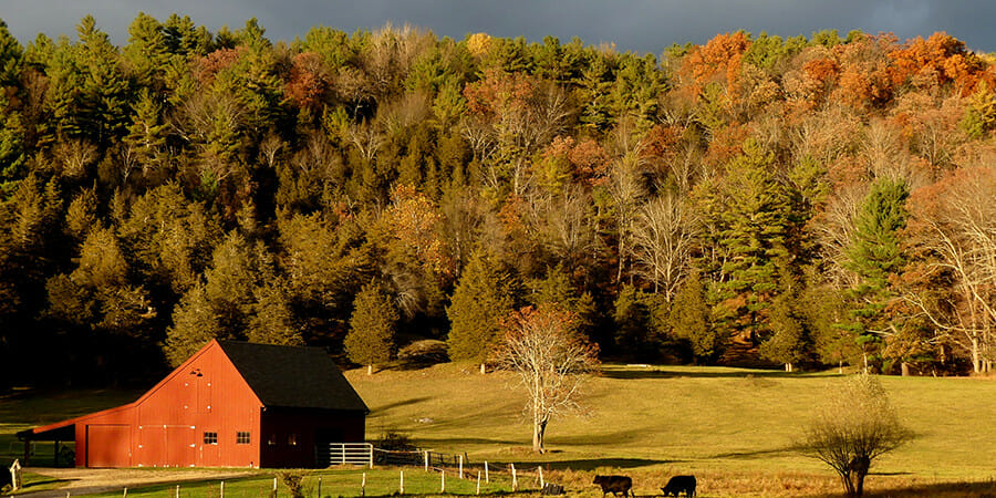 Environment photo__header Environment