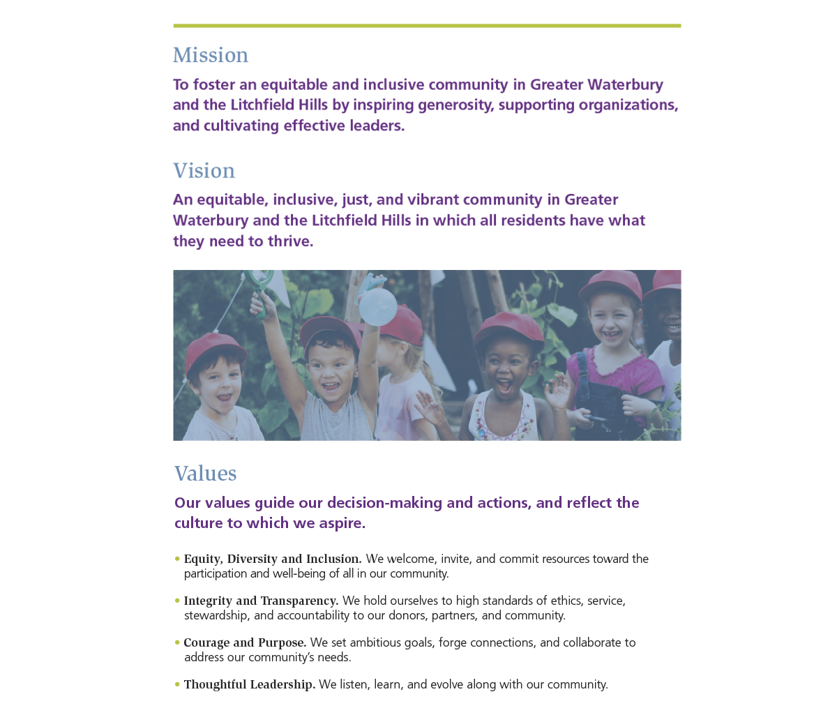 MissionVisionValues